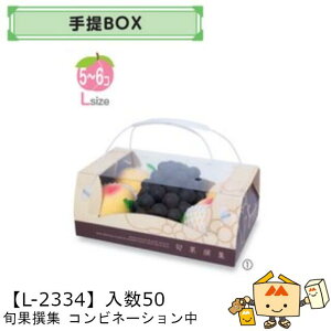 ylszt[c BOX {ʐW Rrl[V  iL-2334 P[X̔ 50 TCY280×180×105mm  }jpbP[W }j  _{[ t[clߍ킹  