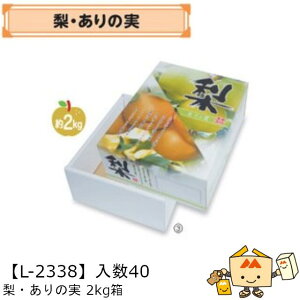ylszt[c Ȃp E̎ 2kg iL-2338 P[X̔ 40 TCY237×310×120mm  }jpbP[W }j   _{[ Г0200070102392