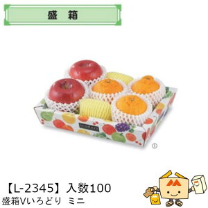 ylszt[c ǂpbg Vǂ ~j iL-2345 P[X̔ 100 TCY262×182×50mm  }jpbP[W }j  _{[ t[clߍ킹  