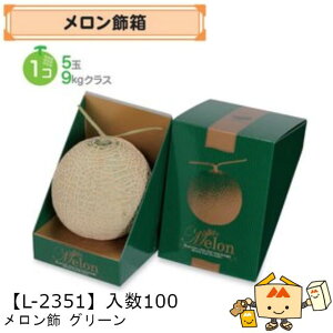 ylszt[c p O[ iL-2351 P[X̔ 100 TCY150×150×210mm  }jpbP[W }j  _{[ Г02000701