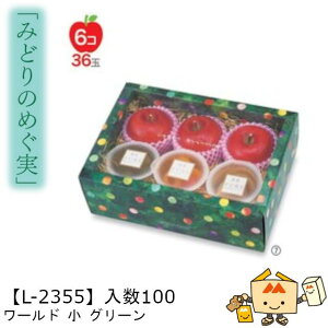 ylszt[c g锠 ݂ǂ̂߂ [hO[ iL-2355 P[X̔ 100 TCY295×200×110mm  }jpbP[W }j  _{[ [[ Ԃ