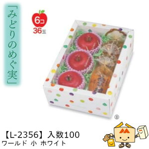 ylszt[c g锠 ݂ǂ̂߂ [hzCg iL-2356 P[X̔ 100 TCY295×200×110mm  }jpbP[W }j  _{[ [[ Ԃ