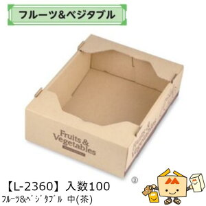 ylszt[c Rei t[c&xW^u () iL-2360 P[X̔ 100 TCY215×285×85mm  }jpbP[W }j  _{[ `   ܂˂ Ⴊ