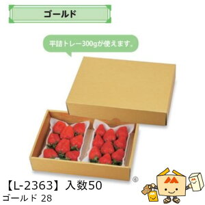 ylszt[c MtgBOX S[h 28 iL-2363 P[X̔ 50 TCY205×290×60mm  }jpbP[W }j  _{[ t[clߍ킹  ܂ Ƃ
