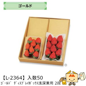 ylszt[c MtgBOX S[h fBXvC{bNX [p 2i iL-2364 P[X̔ 50 TCY300×360×45mm  }jpbP[W }j  _{[ t[cl