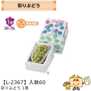 ylszt[c Ԃǂp ʂԂǂ1[ iL-2367 P[X̔ 60 TCY130×200×140mm  }jpbP[W }j uhE   _{[ Г0200070102940