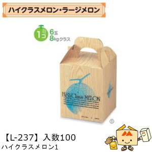 ylszt[c p nCNX1 iL-237 P[X̔ 100 TCY150×150×190mm  }jpbP[W }j  _{[ Г02000701