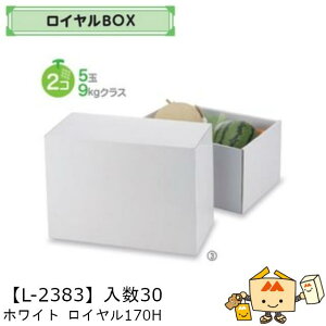 ylszt[c CBOX zCg C170 iL-2383 P[X̔ 30 TCY335×225×170mm  }jpbP[W }j  _{[  XCJ Z Mtg Г020