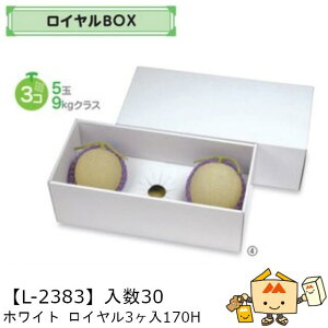 ylszt[c CBOX zCg C3170H iL-2384 P[X̔ 30 TCY495×225×170mm  }jpbP[W }j  _{[  XCJ Z Mtg 