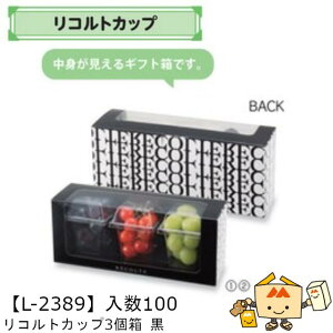 ylszt[c g锠 RgJbv3  iL-2389 P[X̔ 100 TCY276×80×117mm  }jpbP[W }j  Ԃǂ  }XJbg  l