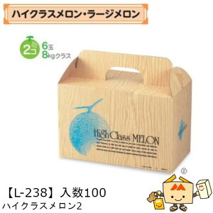 ylszt[c p nCNX2 iL-238 P[X̔ 100 TCY295×150×190mm  }jpbP[W }j  _{[ Г02000701