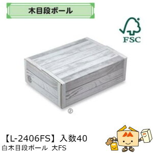 ylszt[c zMtgBOX ؖڒi{[ FS iL-2406FS P[X̔ 40 TCY360×265×110mm  }jpbP[W }j FSCXєF؎ }S[ ݂ IW ` 