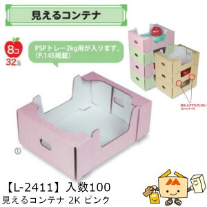 ylszt[c T[rXBOX Rei 2K sN iL-2411 P[X̔ 100 TCY240×310×115mm  }jpbP[W }j  _{[ }S[ IW ` 