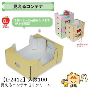 ylszt[c T[rXBOX Rei 2K N[ iL-2412 P[X̔ 100 TCY240×310×115mm  }jpbP[W }j  _{[ }S[ IW ` 