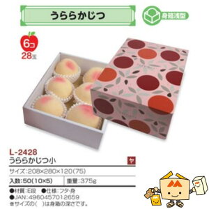 ylszt[c MtgBOX 炩  iL-2428 P[X̔ 50 TCY208×280×120(75)mm  }jpbP[W }j  _{[ t[clߍ킹 }S[  