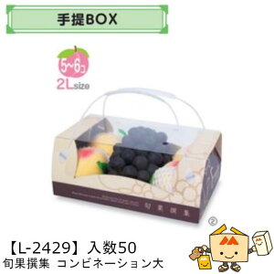 ylszt[c BOX {ʐW Rrl[V  iL-2429 P[X̔ 50 TCY310×200×130mm  }jpbP[W }j  _{[ t[clߍ킹  