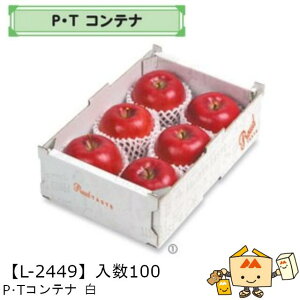 ylszt[c T[rXBOX PETRei   iL-2449 P[X̔ 100 TCY205×290×95mm  }jpbP[W }j  _{[ }S[ IW `    