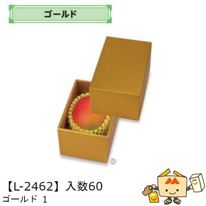 ylszt[c MtgBOX S[h 1 iL-2462 P[X̔ 60 TCY115×175×100mm  }jpbP[W }j  _{[ t[clߍ킹 }S[  ь  