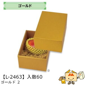 ylszt[c MtgBOX S[h 2 iL-2463 P[X̔ 60 TCY150×205×100mm  }jpbP[W }j  _{[ t[clߍ킹 }S[  ь  