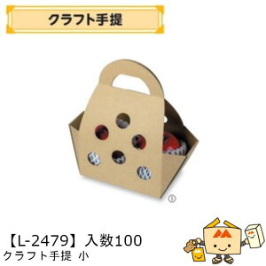 ylszt[c  Ntg  iL-2479 P[X̔ 100 TCY255×110×190mm  }jpbP[W }j  _{[    ` Ԃǂ }XJbg pC