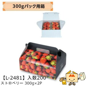 ylszt[c p 300gpbNp Xgx[300g×2P iL-2481 P[X̔ 200 TCY235×170×75mm  }jpbP[W }j  Xgx[   ܂ 