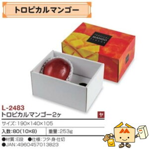 ylszt[c }S[p gsJ}S[2 iL-2483 P[X̔ 80 TCY190×140×105mm  }jpbP[W }j  _{[ Г02000701