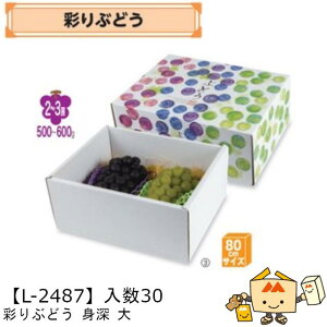 ylszt[c Ԃǂp ʂԂǂg[ iL-2487 P[X̔ 30 TCY305×245×140mm  }jpbP[W }j uhE   _{[ Г02000701