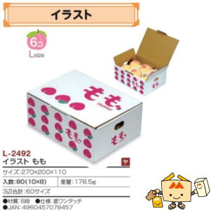 ylszt[c p CXg iL-2492 P[X̔ 80 TCY270×200×110mm  }jpbP[W }j   _{[ Г0200070102880