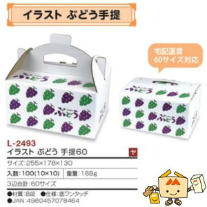 ylszt[c Ԃǂp CXgԂǂ60 iL-2493 P[X̔ 100 TCY255×178×130mm  }jpbP[W }j uhE   _{[ Г02000701