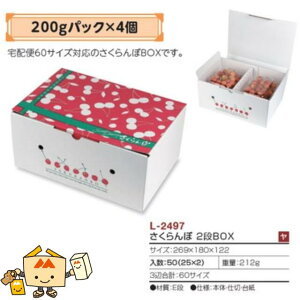 ylszt[c ڗp 2iBOX iL-2497 P[X̔ 50 TCY269×180×122mm  }jpbP[W }j  _{[ `F[ Г02000701