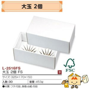 ylszt[c Ȃp 2FS iL-2516FS P[X̔ 30 TCY325×170×150mm  }jpbP[W }j   _{[ XєF؎ Г02000701