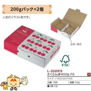 ylszt[c ڗp 400gFS iL-2520FS P[X̔ 100 TCY179.5×257×56mm  }jpbP[W }j  _{[ `F[ Г02000701