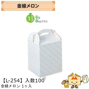 ylszt[c p 1 iL-254 P[X̔ 100 TCY150×150×190mm  }jpbP[W }j  _{[ Г02000701