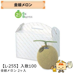 �y�l��s�z�t���[�c �������p ����������2���� �i��L-255 �P�[�X�̔� ����100 �T�C�Y295×150×190mm �������� ���}�j�p�b�P�[�W ���}�j �� �_���{�[�� �Г�02000701