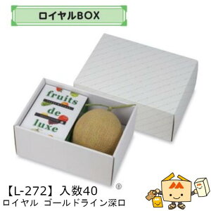 ylszt[c MtgBOX C S[hC [ iL-272 P[X̔ 40 TCY325×225×150mm  }jpbP[W }j  _{[  XCJ Ԃǂ  