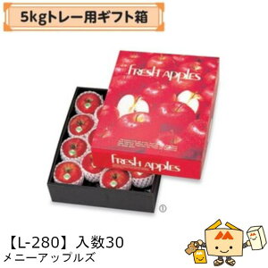 ylszt[c 񂲗p 5kgg[pMtg j[AbvY iL-280 P[X̔ 30 TCY345×435×105mm  }jpbP[W }j S ь Abv  _{[