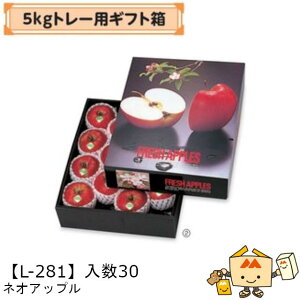 ylszt[c 񂲗p 5kgg[pMtg lIAbv iL-281 P[X̔ 30 TCY345×435×105mm  }jpbP[W }j S ь Abv  _{[ 