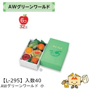 ylszt[c MtgBOX AWO[[h  iL-295 P[X̔ 40 TCY195×305×97mm  }jpbP[W }j  _{[ t[clߍ킹 }S[ 