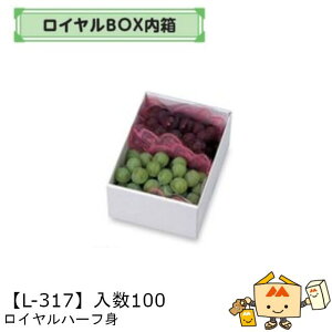 ylszt[c MtgBOX CBOX Cn[t g iL-317 P[X̔ 100 TCY155×210×90mm  }jpbP[W }j  _{[ }S[ Ԃǂ  