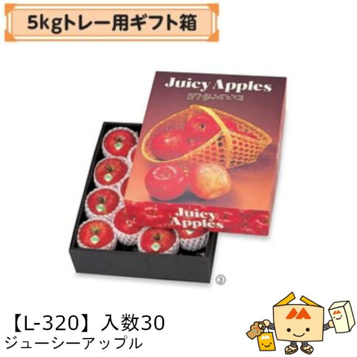 楽天市場】【個人宅不可】フルーツ りんご用 5kgトレー用ギフト箱 