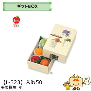 ylszt[c MtgBOX AFʐW  iL-323 P[X̔ 50 TCY198×305×110mm  }jpbP[W }j  _{[ t[clߍ킹  ь  Ԃǂ 