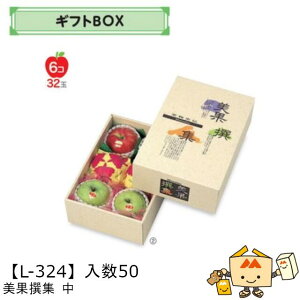 ylszt[c MtgBOX AFʐW  iL-324 P[X̔ 50 TCY218×325×110mm  }jpbP[W }j  _{[ t[clߍ킹  ь  Ԃǂ 