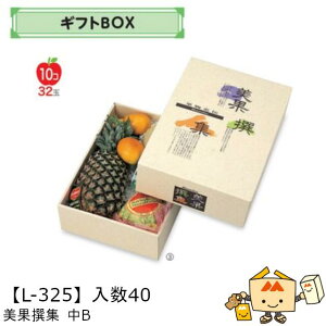 ylszt[c MtgBOX AFʐW B iL-325 P[X̔ 40 TCY260×365×110mm  }jpbP[W }j  _{[ t[clߍ킹  ь  Ԃǂ 