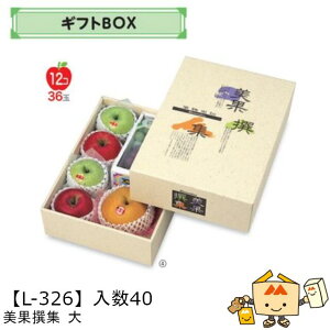 ylszt[c MtgBOX AFʐW  iL-326 P[X̔ 40 TCY270×385×110mm  }jpbP[W }j  _{[ t[clߍ킹  ь  Ԃǂ 