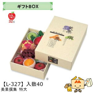 ylszt[c MtgBOX AFʐW  iL-327 P[X̔ 40 TCY285×400×110mm  }jpbP[W }j  _{[ t[clߍ킹  ь  Ԃ