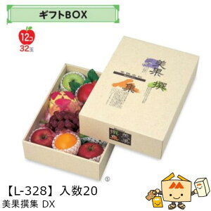 ylszt[c MtgBOX AFʐW DX iL-328 P[X̔ 20 TCY350×435×110mm  }jpbP[W }j  _{[ t[clߍ킹  ь  Ԃǂ 