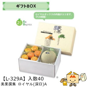 ylszt[c MtgBOX AFʐW C([)A iL-329A P[X̔ 40 TCY325×225×150mm  }jpbP[W }j  _{[ t[clߍ킹  