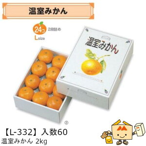 ylszt[c kp  ݂2kg iL-332 P[X̔ 60 TCY195×270×90mm  }jpbP[W }j ݂ IW  _{[ Г02000701