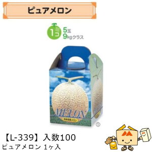 ylszt[c p sA1 iL-339 P[X̔ 100 TCY160×160×195mm  }jpbP[W }j  _{[ Г0200070102370