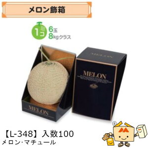 ylszt[c p E}`F[ iL-348 P[X̔ 100 TCY140×140×200mm  }jpbP[W }j  _{[ Г02000701